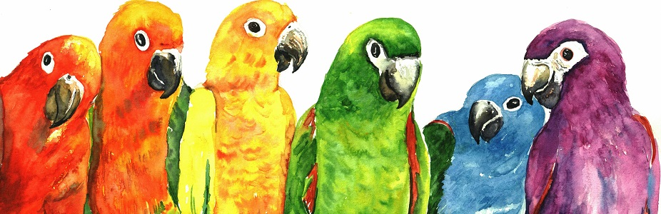 Colourful Parrots